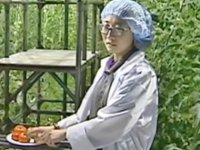 В Якутске начали выращивать помидоры в экстремальные морозы